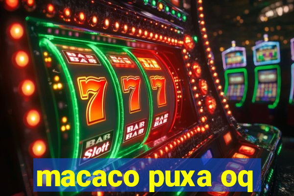 macaco puxa oq